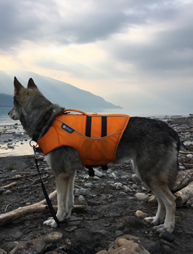 FLOAT COAT von ruffwear